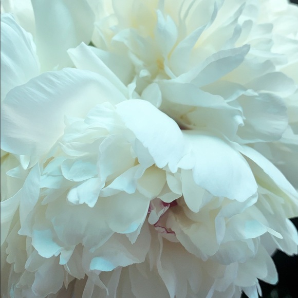 Meet your Posher, Laura - Picture 1 of 1